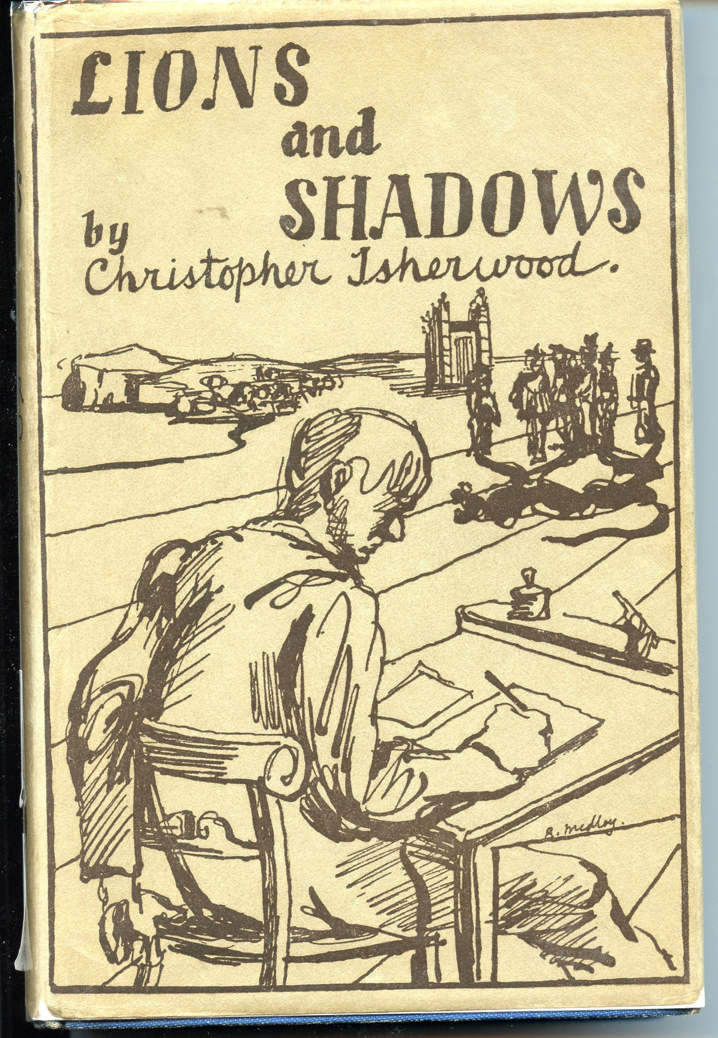 Image for Lions and Shadows