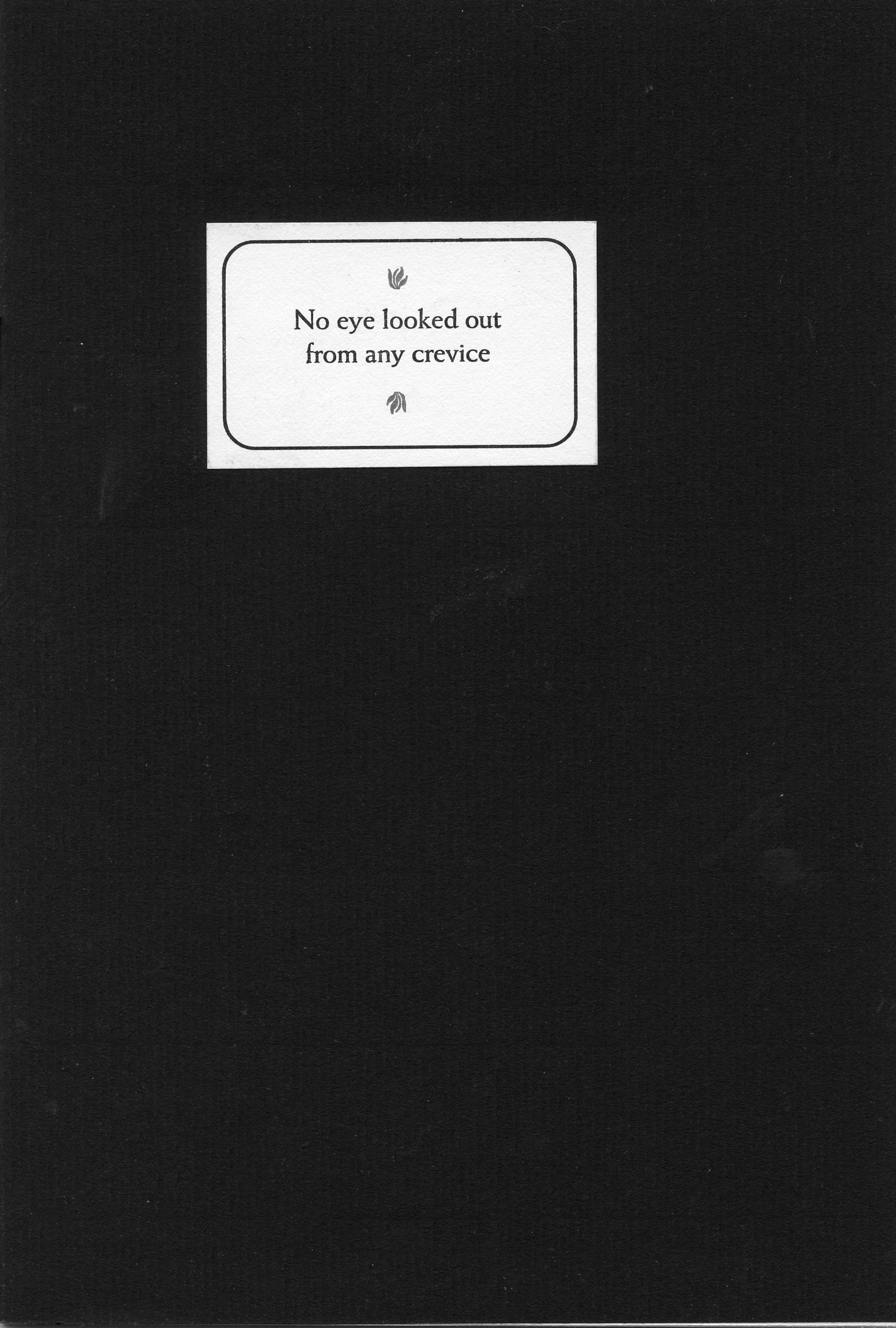 Image for No Eye Looked Out From Any Crevice