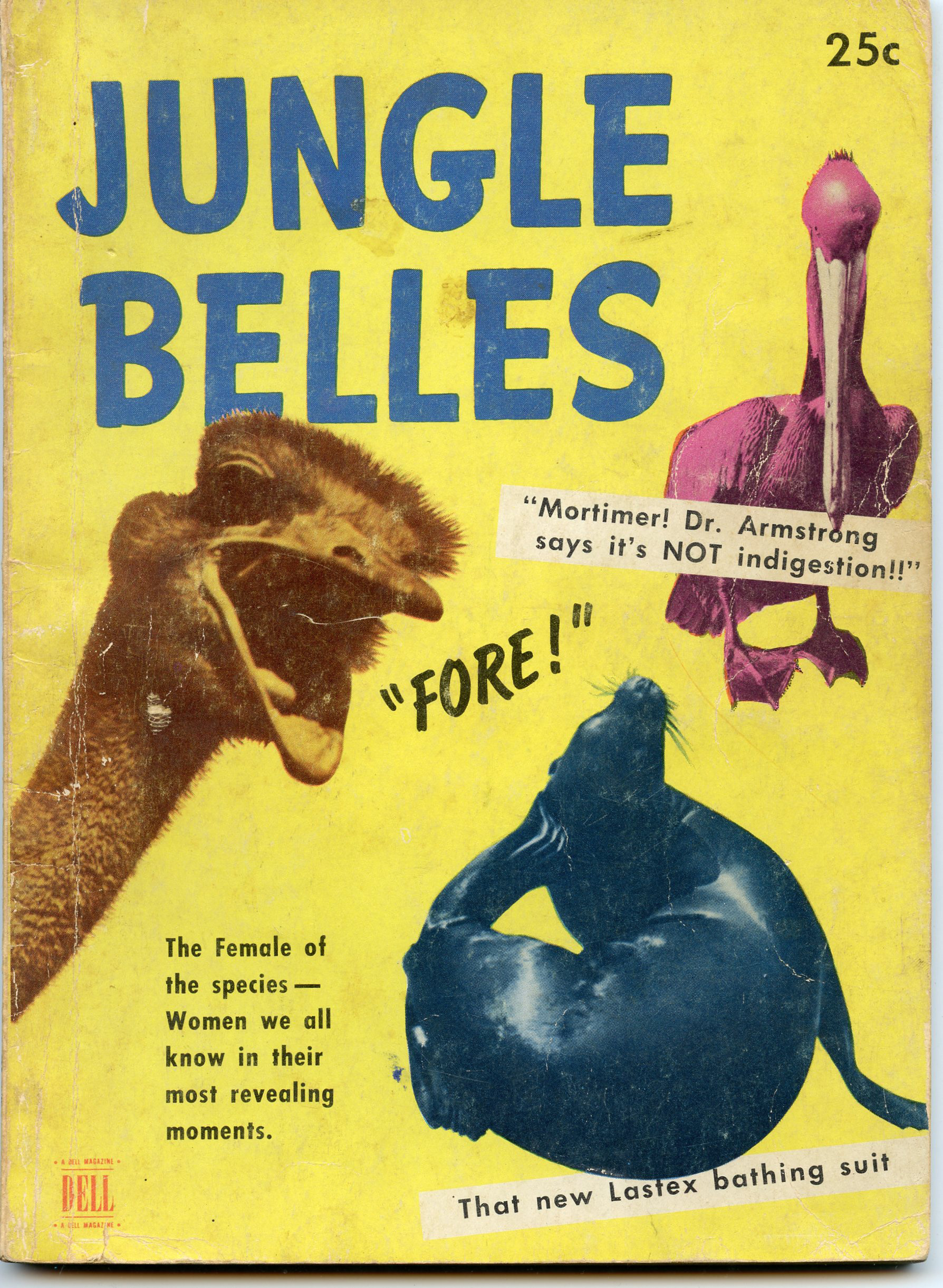 Image for Jungle Belles