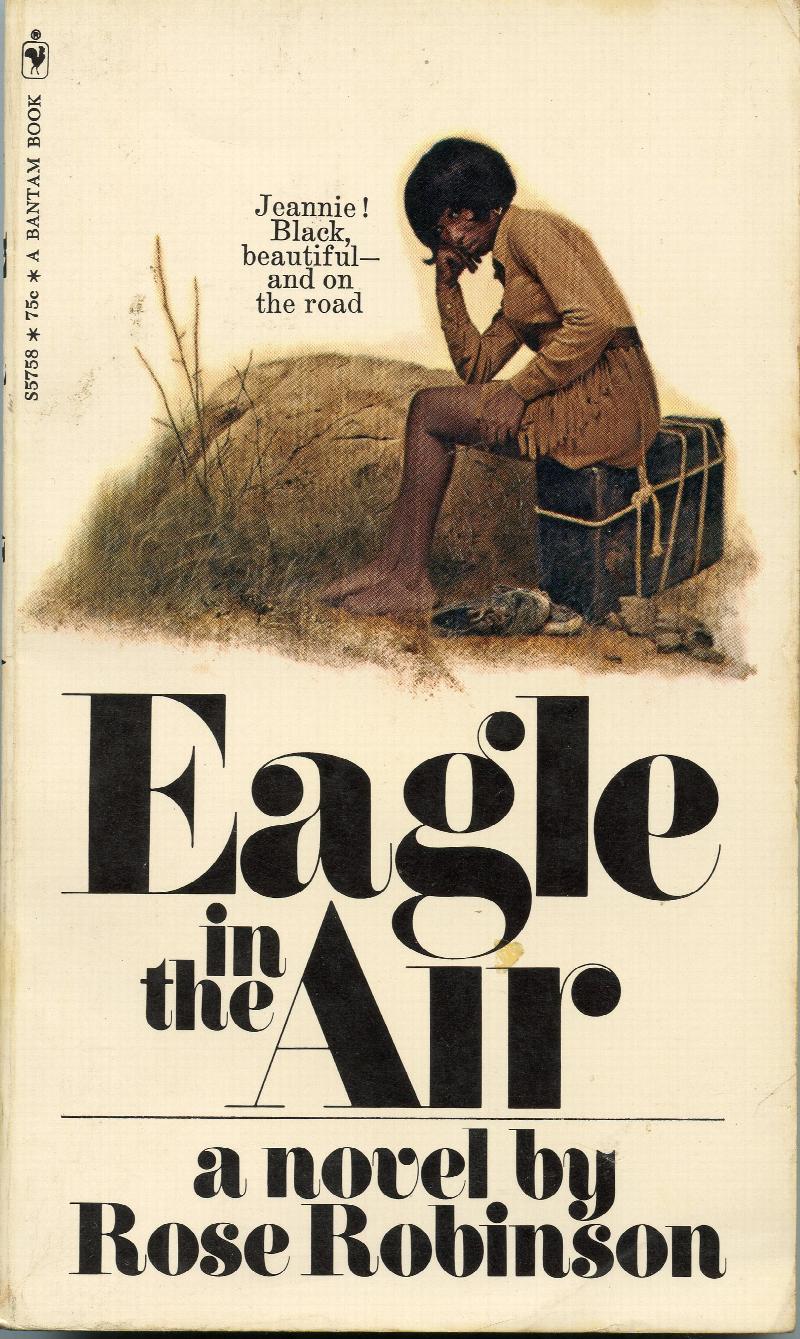 Image for Eagle in the Air