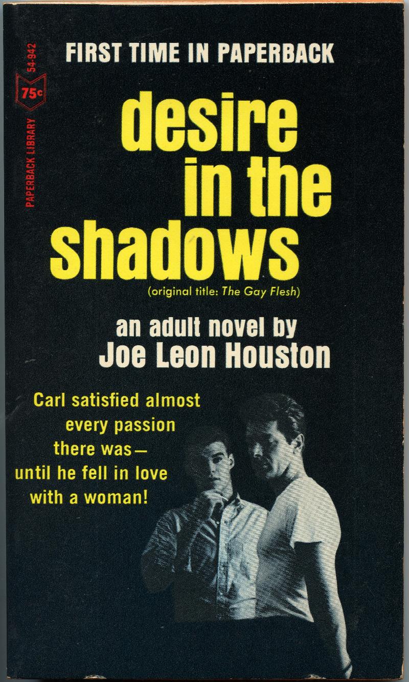 Image for Desire in the Shadows (The Gay Flesh)