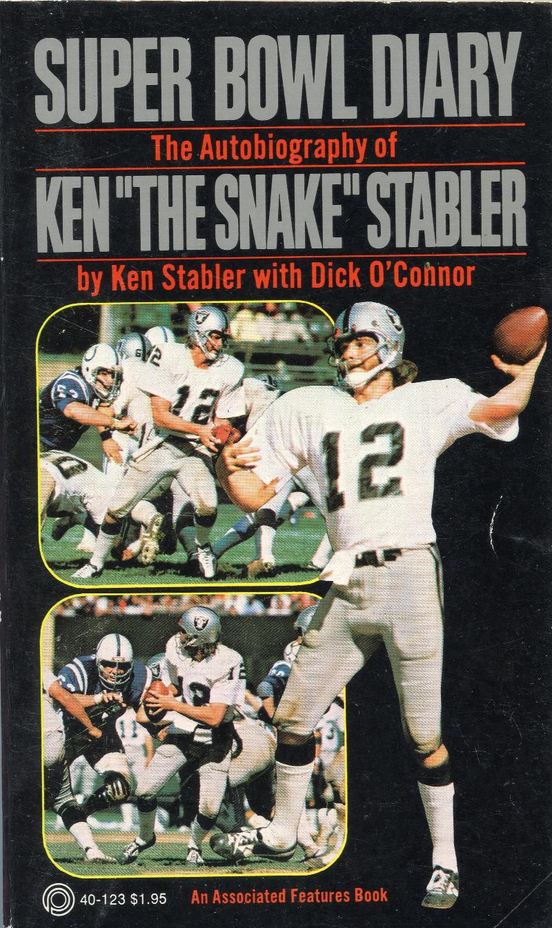 Image for Super Bowl Diary