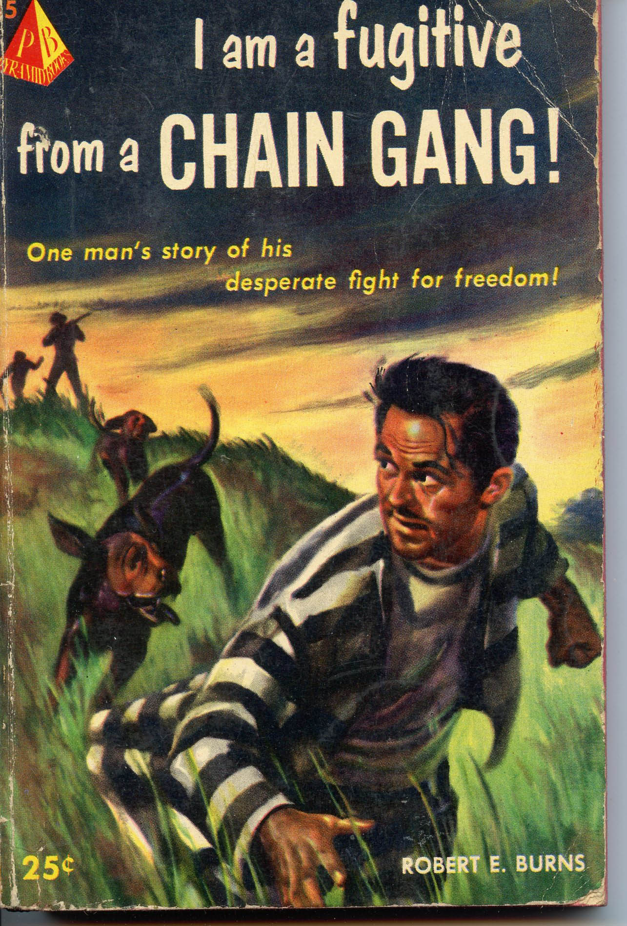 Image for I Am A Fugitive From a Chain Gang!