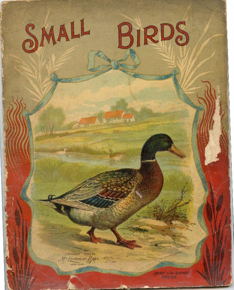 Image for Small Birds