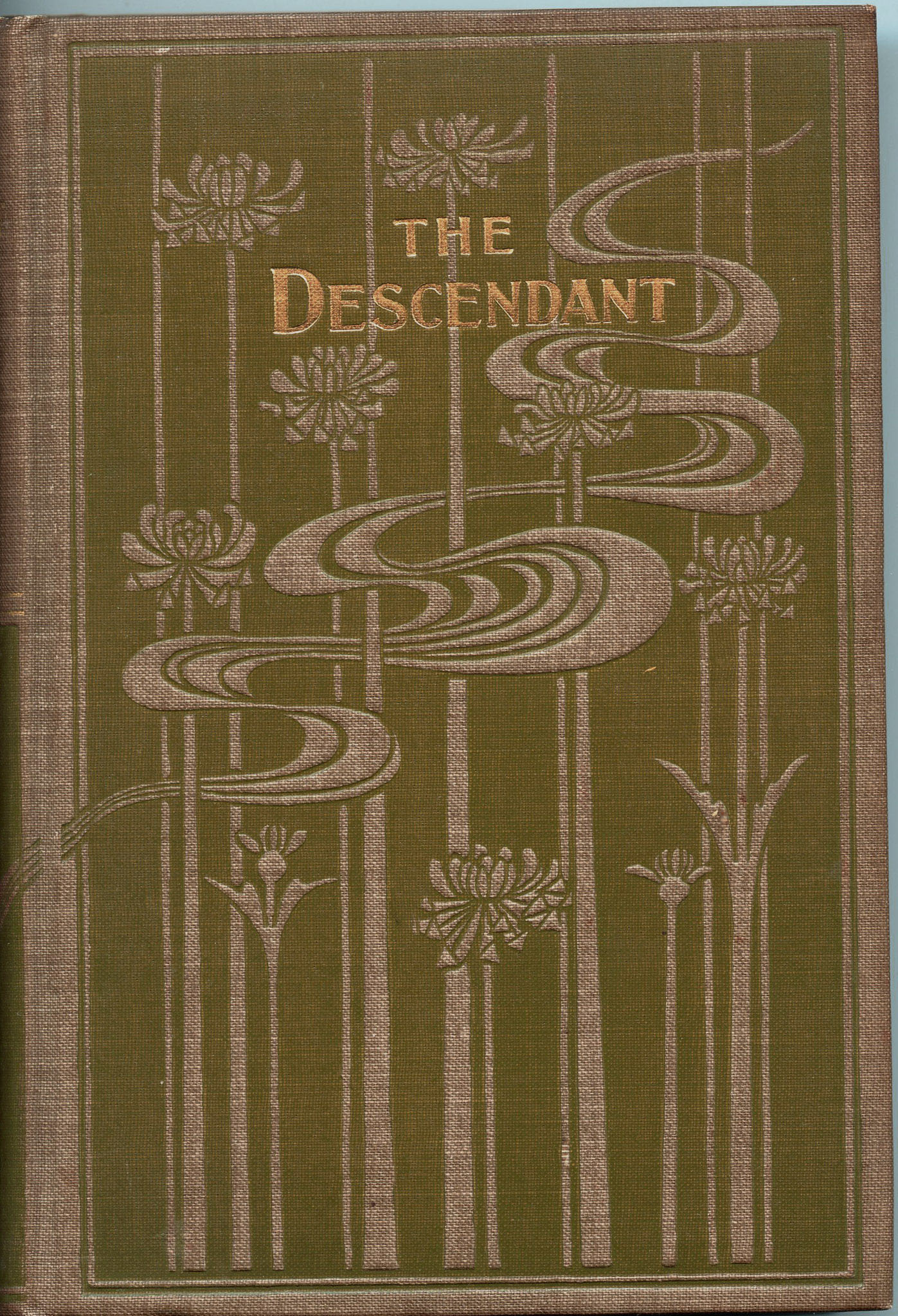 Image for The Descendant